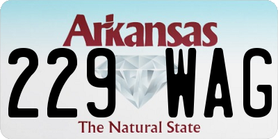 AR license plate 229WAG