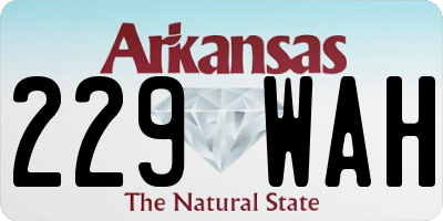 AR license plate 229WAH
