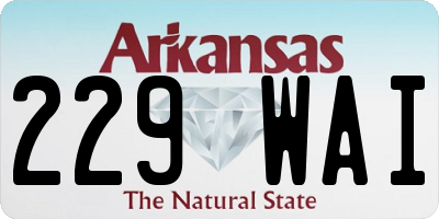 AR license plate 229WAI