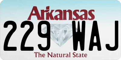 AR license plate 229WAJ
