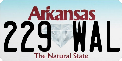 AR license plate 229WAL