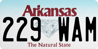 AR license plate 229WAM