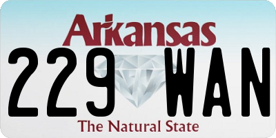 AR license plate 229WAN