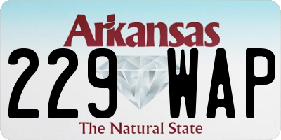 AR license plate 229WAP
