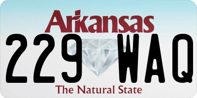 AR license plate 229WAQ