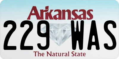 AR license plate 229WAS