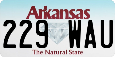 AR license plate 229WAU