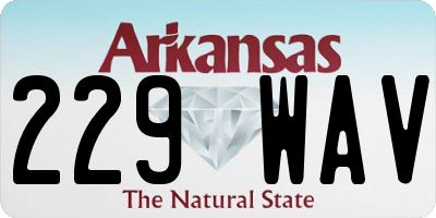 AR license plate 229WAV