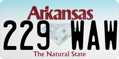 AR license plate 229WAW