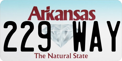AR license plate 229WAY