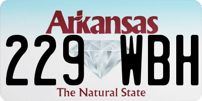 AR license plate 229WBH