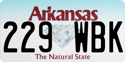 AR license plate 229WBK
