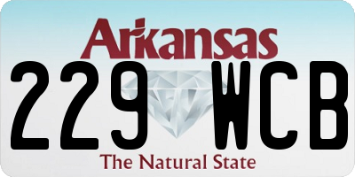 AR license plate 229WCB