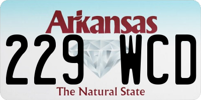 AR license plate 229WCD