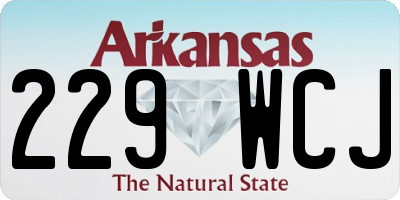 AR license plate 229WCJ