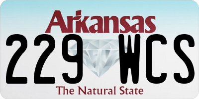 AR license plate 229WCS