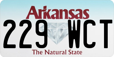 AR license plate 229WCT