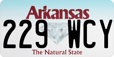 AR license plate 229WCY