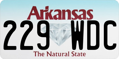 AR license plate 229WDC
