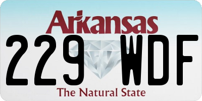 AR license plate 229WDF