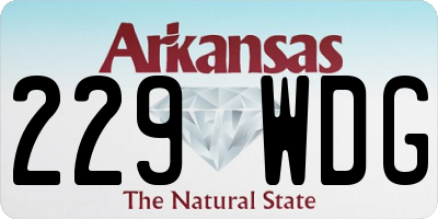 AR license plate 229WDG