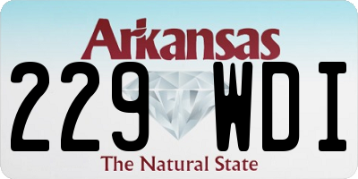 AR license plate 229WDI