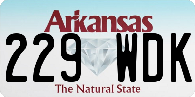 AR license plate 229WDK