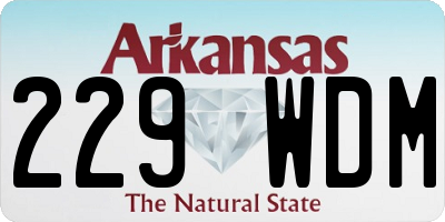 AR license plate 229WDM