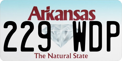 AR license plate 229WDP