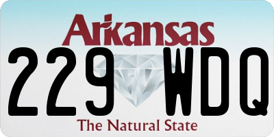 AR license plate 229WDQ