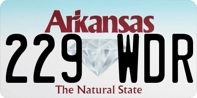 AR license plate 229WDR