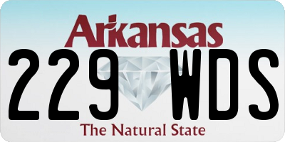 AR license plate 229WDS