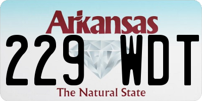AR license plate 229WDT