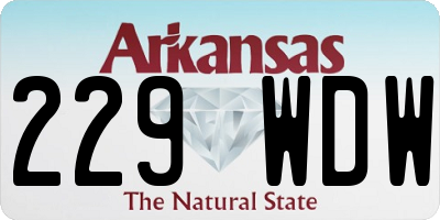 AR license plate 229WDW
