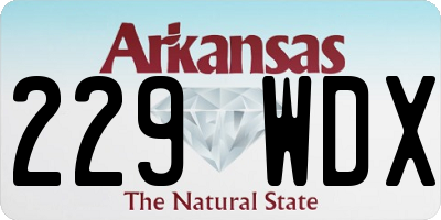 AR license plate 229WDX