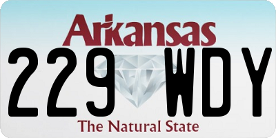 AR license plate 229WDY