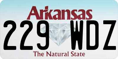 AR license plate 229WDZ