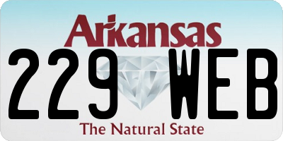 AR license plate 229WEB