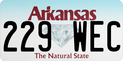 AR license plate 229WEC