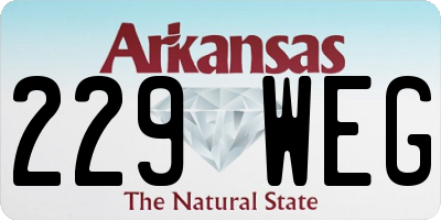 AR license plate 229WEG