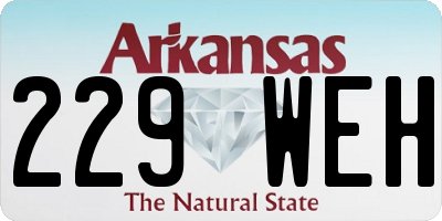 AR license plate 229WEH