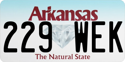 AR license plate 229WEK