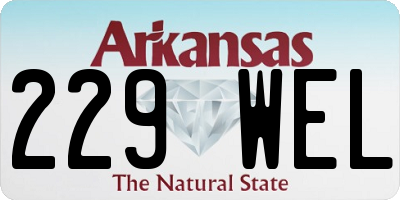 AR license plate 229WEL