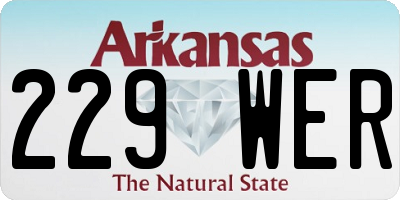 AR license plate 229WER