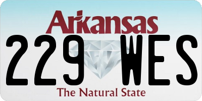 AR license plate 229WES