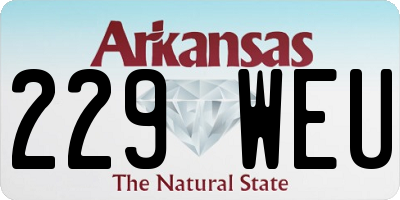 AR license plate 229WEU