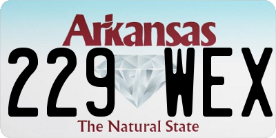 AR license plate 229WEX