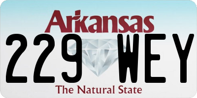 AR license plate 229WEY
