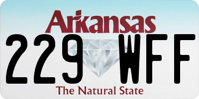 AR license plate 229WFF