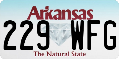 AR license plate 229WFG